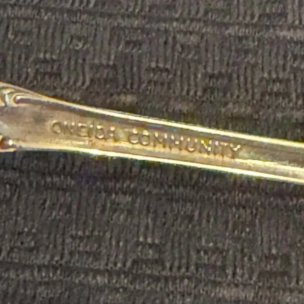 Oneida community stainless